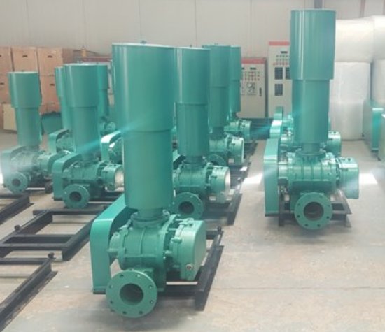 SR系列-80型三叶罗茨鼓风机