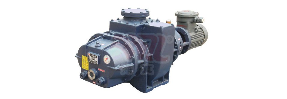 ZJB型系列罗茨真空泵