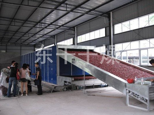 DWC系列脱水蔬菜带式干燥机