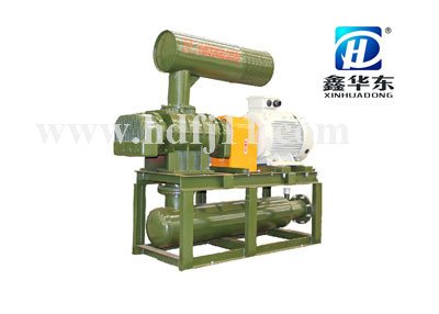 密集型罗茨风机