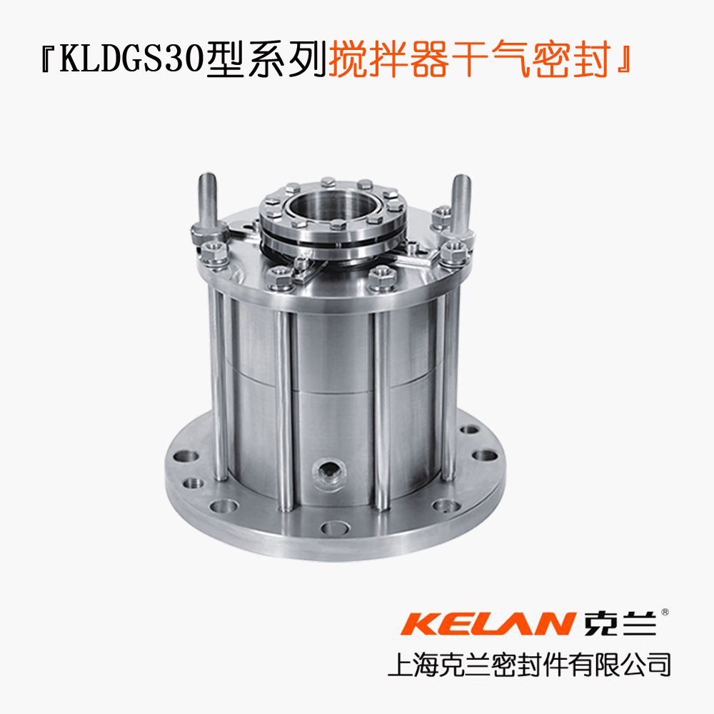 KLDGS30型系列搅拌器干气密封