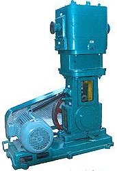 无油（耐腐蚀）立式往复真空泵