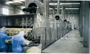 DWC系列脱水蔬菜带式干燥机