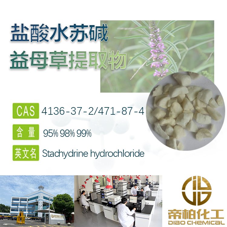 盐酸水苏碱原料 4136-37-2 益母草提取物