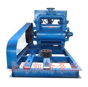 2BE型水环式真空泵