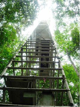 CO2-H2O气体稳定同位素廓线测量系统