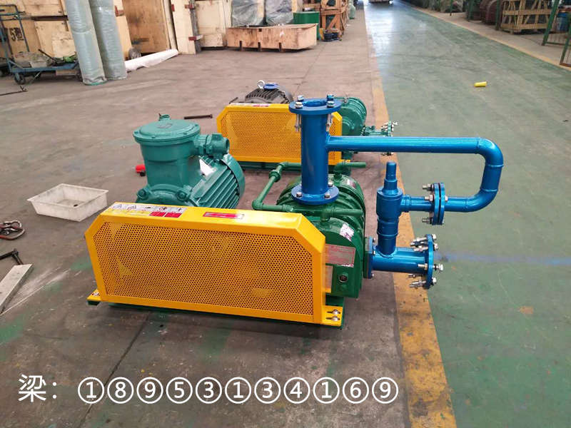 机封特殊气体输送增压罗茨鼓风机