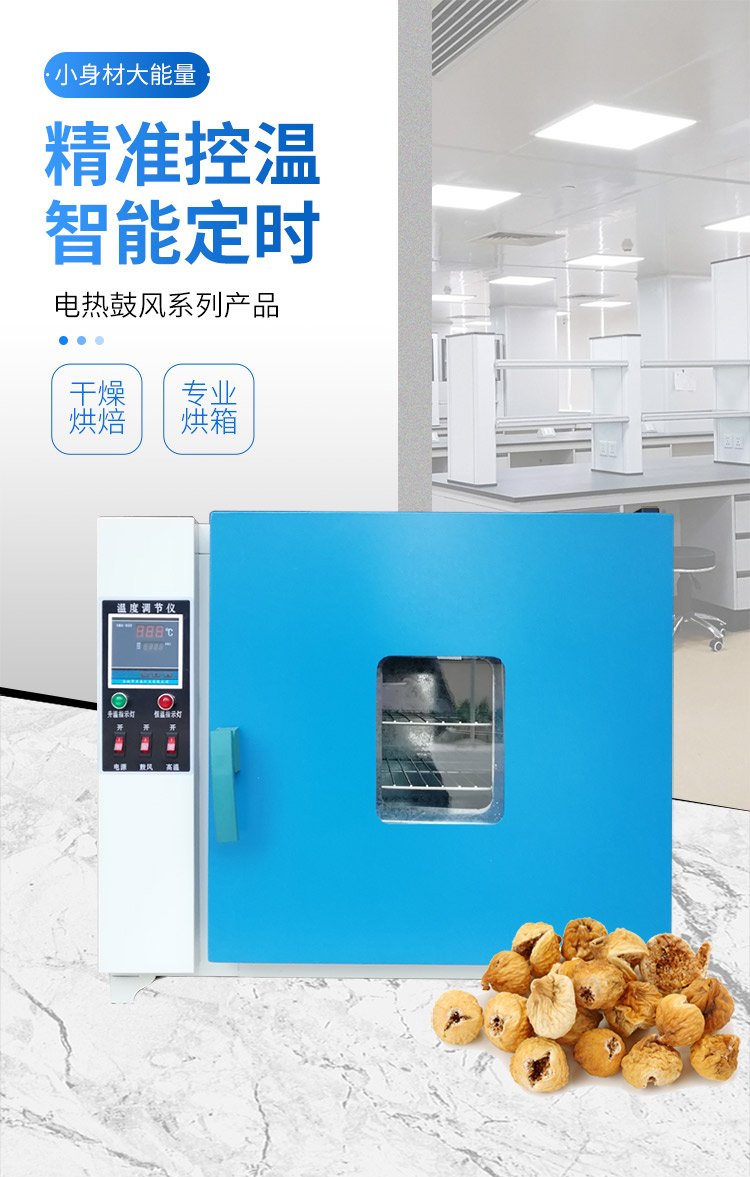 电热恒温鼓风干燥箱