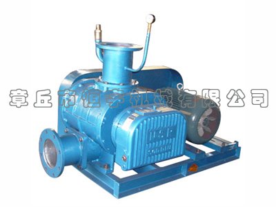 罗茨真空泵NSR150