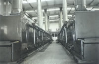 DWT系列脱水蔬菜干燥机