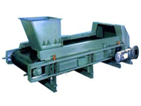 DEL/DEM定量给料皮带秤