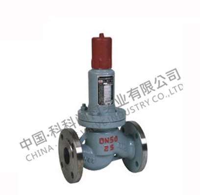 平行式安全回流阀1