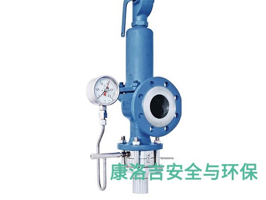 REMBE爆破片与安全阀组合系统