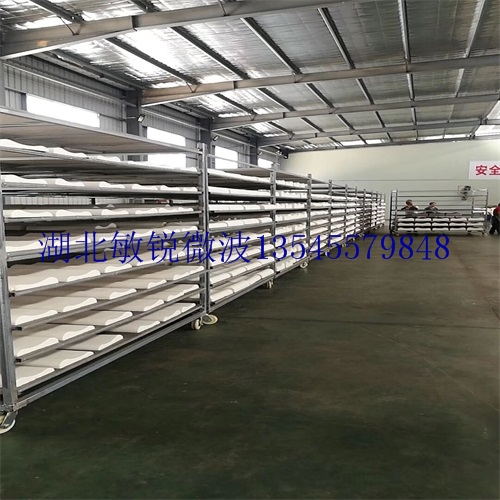 乳胶枕微波烘干杀菌机