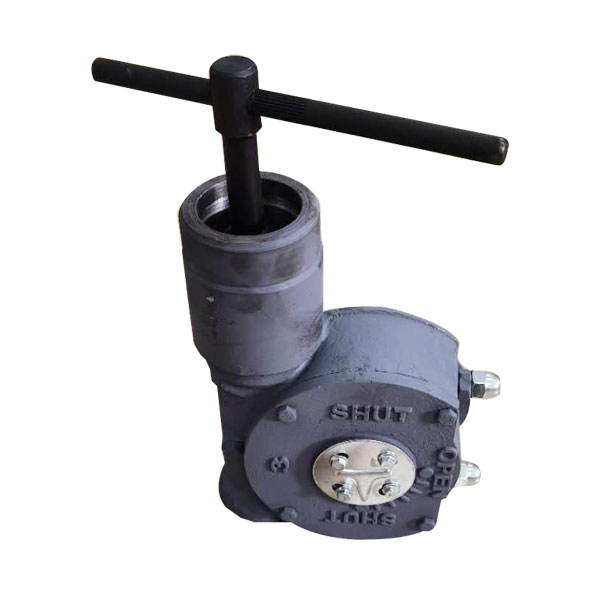 蓝色防盗蜗轮头