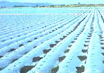 全生物降解材料