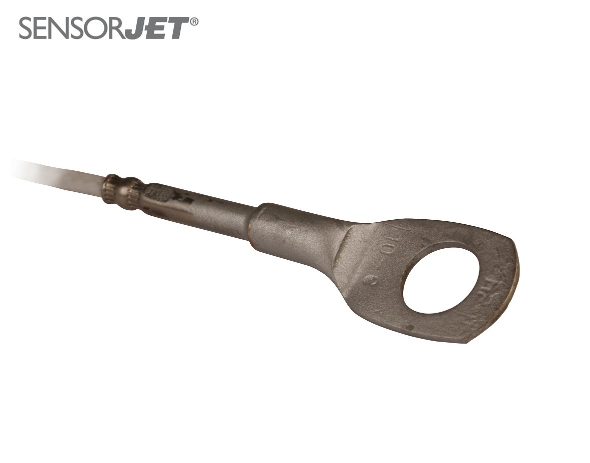 VIGITHERM GST 100 HX 轴承温度传感器