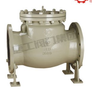 美标大口径止回阀