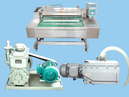 DZL-1000全自动真空包装机