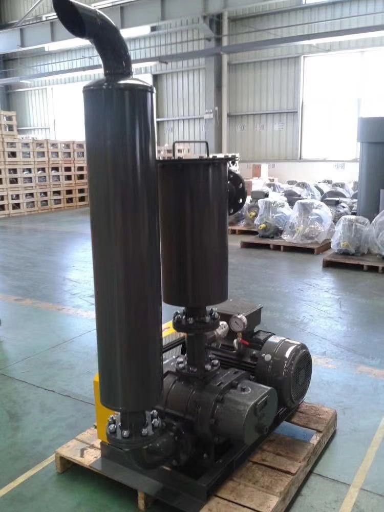 龙铁LTV-100真空鼓风机