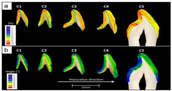 110333_089758_jswz.png 微信图片_20231226102916.png