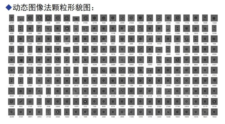 103207_105009_jswz.jpg 混悬剂颗粒大小的测定.jpg