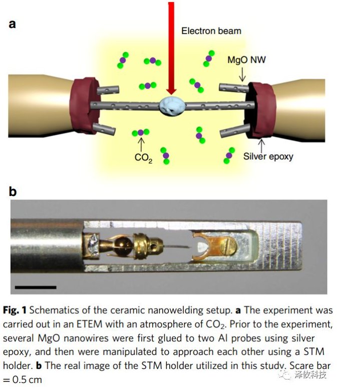 083938_868391_gsdt.png image.png