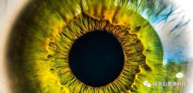 094129_715233_gsdt.jpg 微信图片_20250317094031.jpg