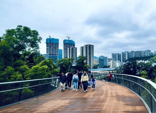 084127_259706_gsdt.png 084127_259706_gsdt.png