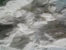 094818_581893_procont.jpg 1710467290302.jpg