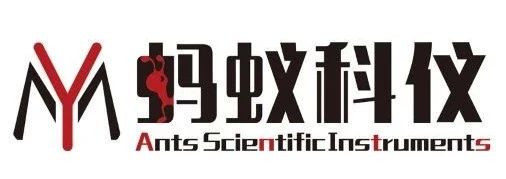 081907_949516_gsdt.jpg 081907_949516_gsdt.jpg