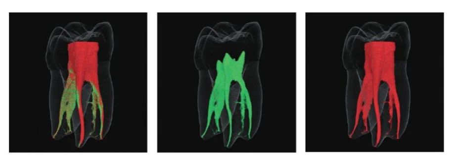 110424_776739_jswz.jpg 110424_776739_jswz.jpg