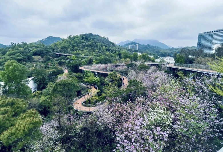 084533_260843_gsdt.jpg 084533_260843_gsdt.jpg