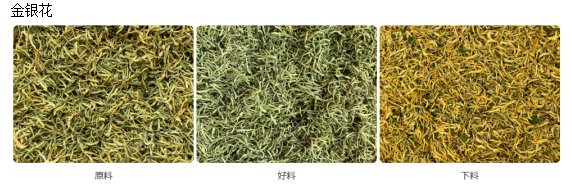 110307_611385_ue_procont.png 金银花.png