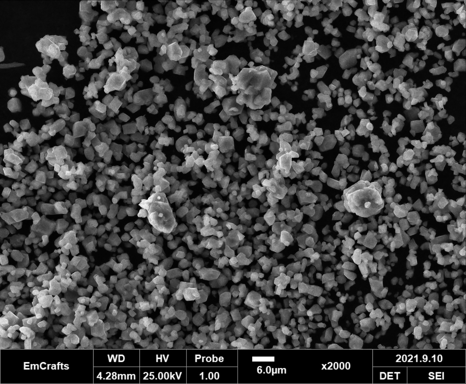 1645692689492832.jpg 1645692689492832.jpg