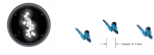 图片6.png 图片6.png