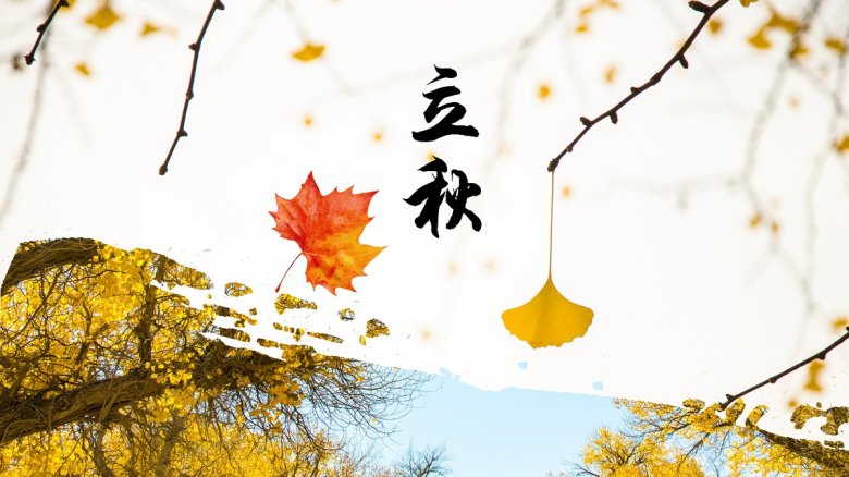 150529_920508_jswz.jpg 立秋时节.jpg