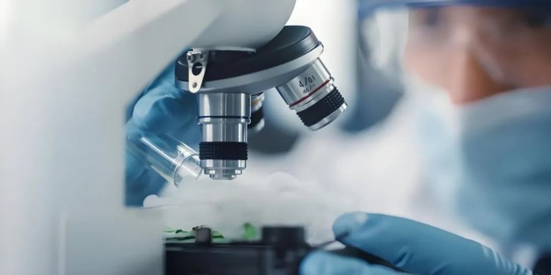 084240_218790_gsdt.jpg 831818e97ea46ee7133cf2b790f0e65d.jpg