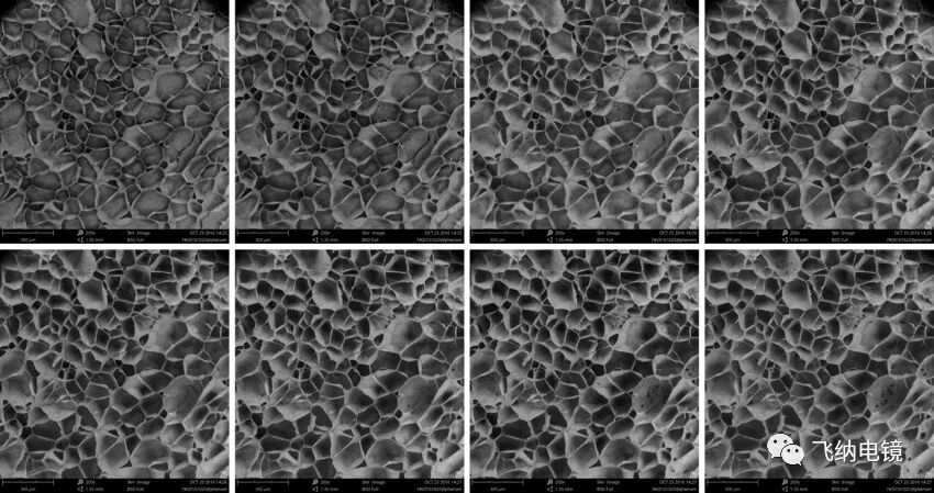不同升华条件下压裂液胶体的扫描电镜(SEM)形貌