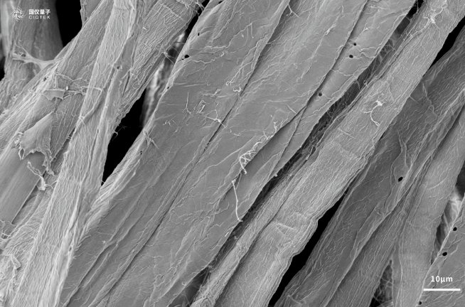 113458_518620_gsdt.png 113458_518620_gsdt.png