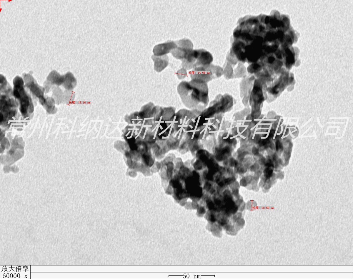 rt50 电镜图01.jpg