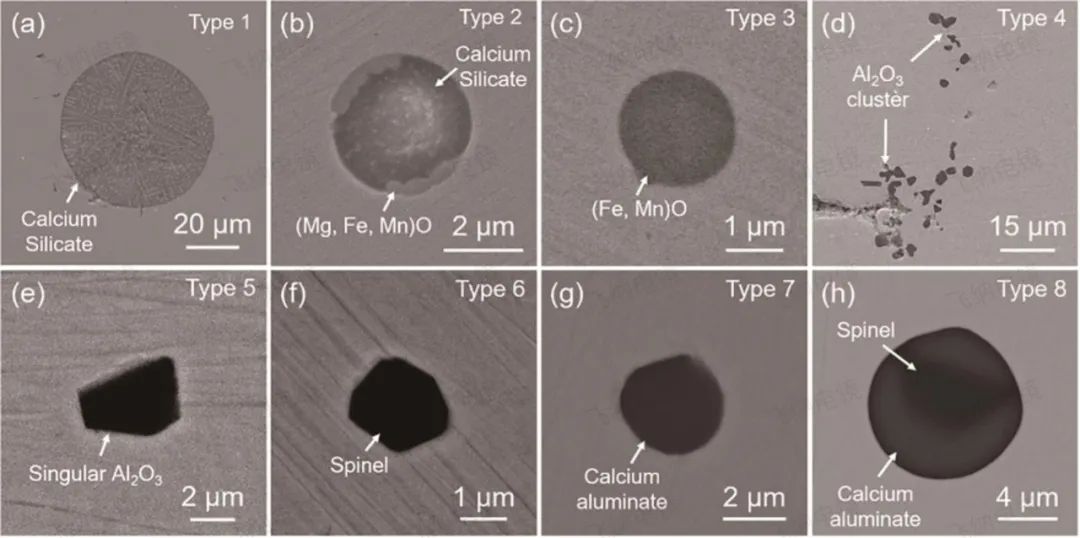扫描电镜下转炉初炼钢和铝镇静钢中典型夹杂物形貌