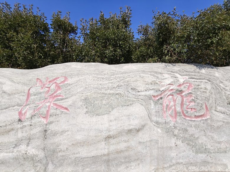 141236_817320_gsdt.jpg 河北深龙医药有限公司.jpg