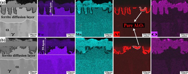 飞纳扫描电镜能谱结果