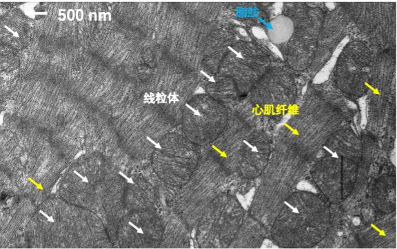 152935_881288_jswz.png 152935_881288_jswz.png