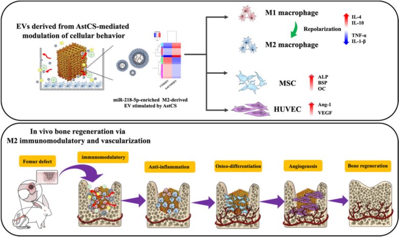 083039_226078_jswz.png 083039_226078_jswz.png