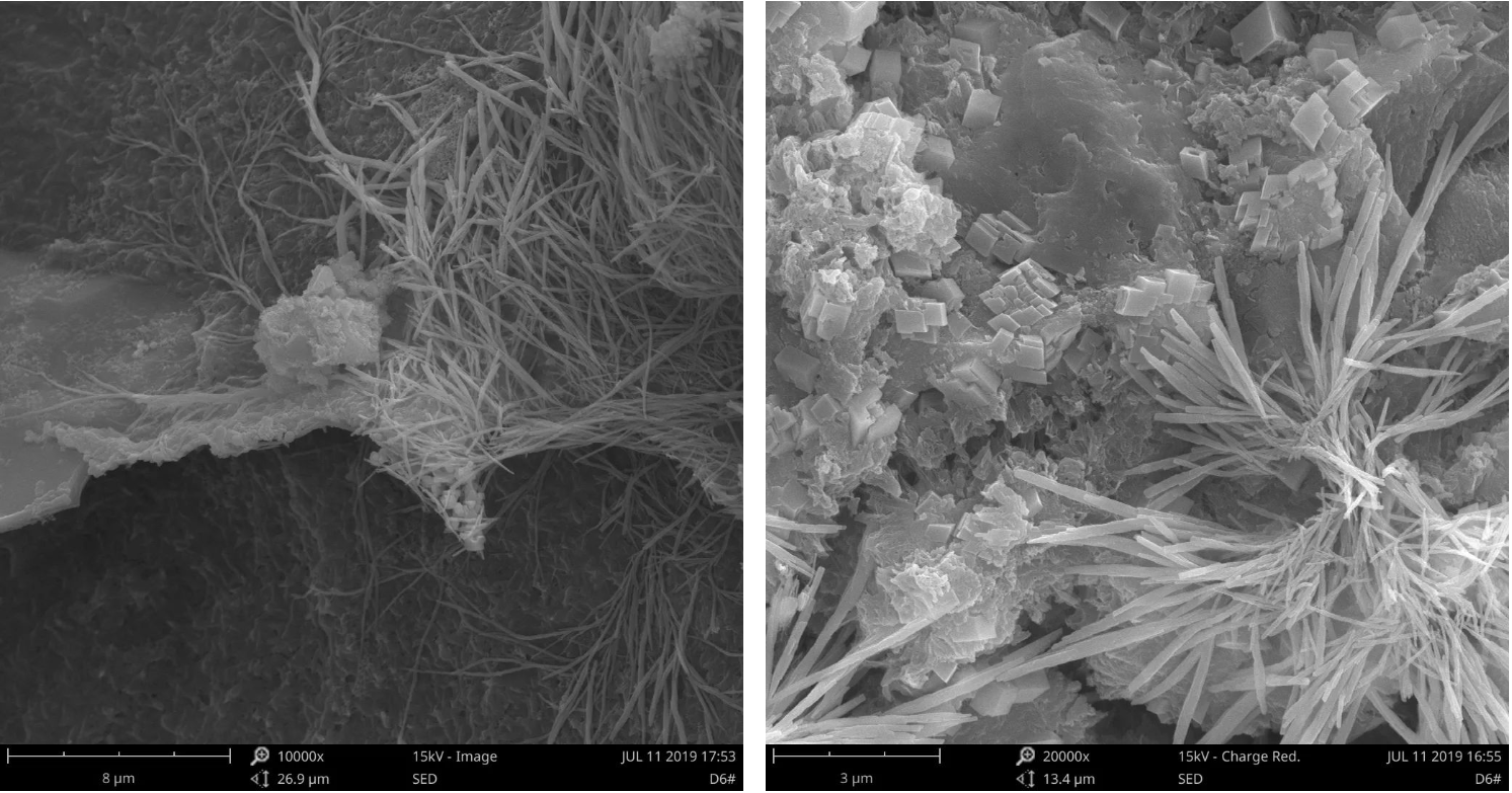图 3 扫描电镜混凝土截面形貌二次电子图(SE)