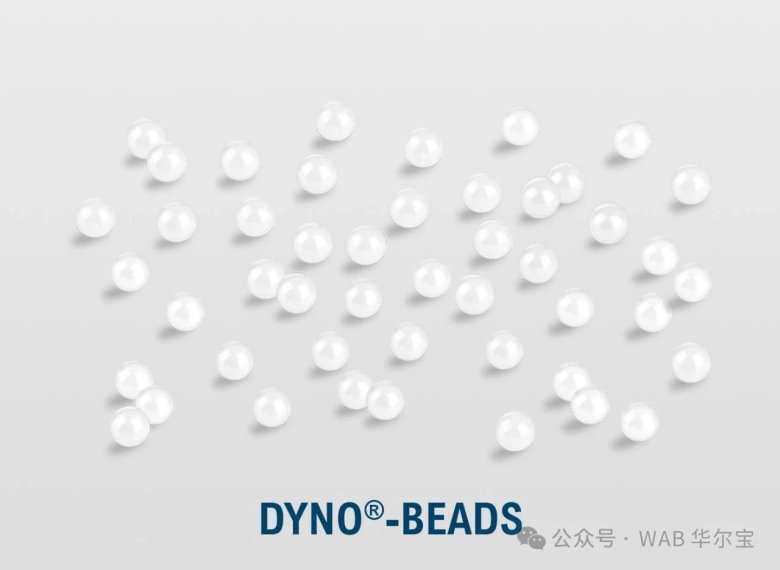 085817_198101_jswz.jpg 085817_198101_jswz.jpg