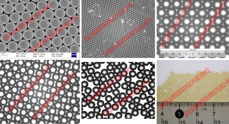 165111_856398_procont.jpg 未标题-2_画板 1.jpg