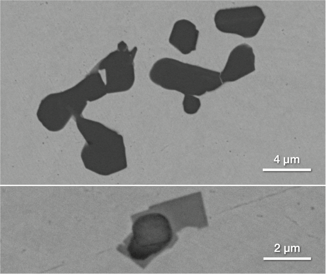 氧化铝团簇(顶部)和 TiN 立方体(底部)在夹杂物顶部沉淀的扫描电镜成像